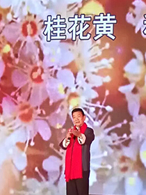 《桂花颂》