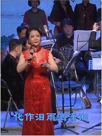 《文化使者宋飞鸿》